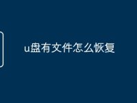 u盘有文件怎么恢复-路由网