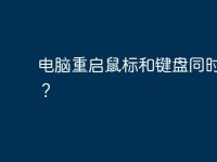 电脑重启鼠标和键盘同时失灵？-路由网