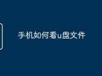 手机如何看u盘文件-路由网