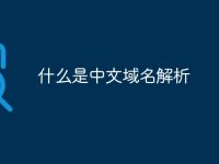什么是中文域名解析-路由网