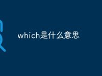 which是什么意思-路由网