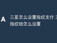 三星怎么设置指纹支付 三星指纹锁怎么设置-路由网