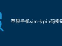 苹果手机sim卡pin码密码忘了-路由网
