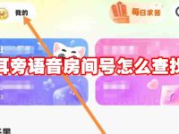 耳旁语音房间号怎么查找-路由网