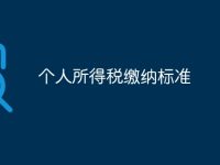 个人所得税缴纳标准-路由网