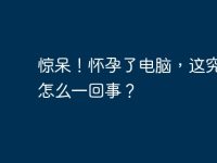 惊呆!怀孕了电脑,这究竟是怎么一回事?-路由网