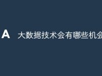 大数据技术会有哪些机会-路由网