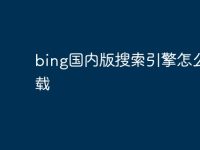 bing国内版搜索引擎怎么下载-路由网