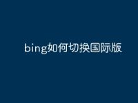 bing如何切换国际版-路由网
