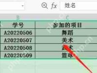 WPS表格怎么复制一个一模一样的到另一个?WPS复制方法-路由网