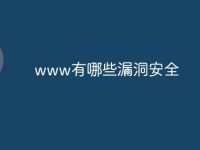 www有哪些漏洞安全-路由网