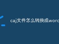 caj文件怎么转换成word-路由网
