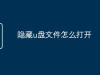 隐藏u盘文件怎么打开-路由网