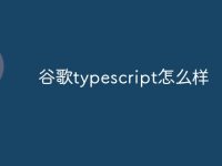 谷歌typescript怎么样-路由网