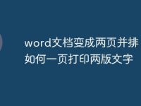 word文档变成两页并排 word如何一页打印两版文字-路由网