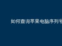 如何查询苹果电脑序列号？-路由网