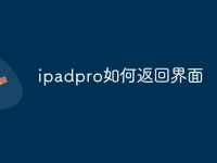 ipadpro如何返回界面-路由网