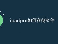 ipadpro如何存储文件-路由网