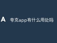 夸克app有什么用处吗-路由网