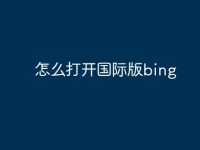 怎么打开国际版bing-路由网