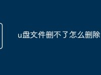 u盘文件删不了怎么删除-路由网
