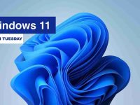 微软发布Windows 11 24H2更新补丁KB5048667-路由网