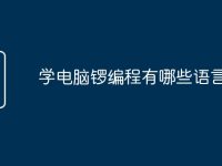 学电脑锣编程有哪些语言-路由网