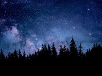 8月28日是什么星座-路由网