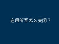 启用听写怎么关闭？-路由网