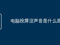 电脑投屏没声音是什么原因-路由网
