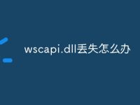 wscapi.dll丢失怎么办-路由网