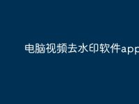 电脑视频去水印软件app-路由网
