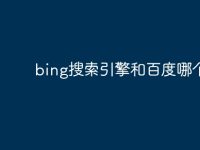 bing搜索引擎和百度哪个好-路由网