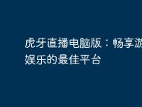 虎牙直播电脑版：畅享游戏与娱乐的最佳平台-路由网