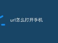 url怎么打开手机-路由网