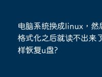 电脑系统换成linux，然后u盘格式化之后就读不出来了，怎样恢复u盘?-路由网
