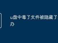 u盘中毒了文件被隐藏了怎么办-路由网