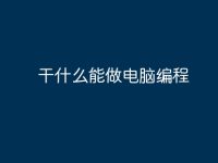 干什么能做电脑编程-路由网
