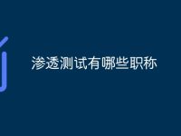 渗透测试有哪些职称-路由网