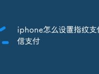 iphone怎么设置指纹支付微信支付-路由网