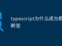 typescript为什么成为前端圈新宠-路由网