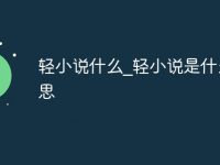 轻小说什么_轻小说是什么意思-路由网