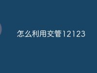 怎么利用交管12123-路由网