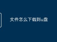 文件怎么下载到u盘-路由网
