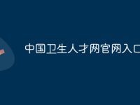 中国卫生人才网官网入口-路由网