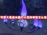 宝可梦大集结水晶灯火灵持有物怎么选择-路由网