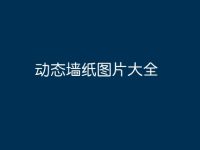动态墙纸图片大全-路由网