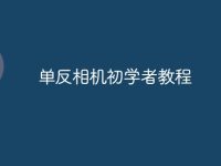 单反相机初学者教程-路由网