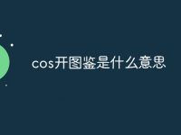 cos开图鉴是什么意思-路由网