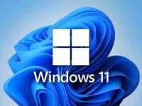 win11开始菜单加载不出来怎么解决?win11开始菜单加载不出来的解决详情-路由网